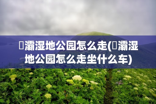 浐灞湿地公园怎么走(浐灞湿地公园怎么走坐什么车)