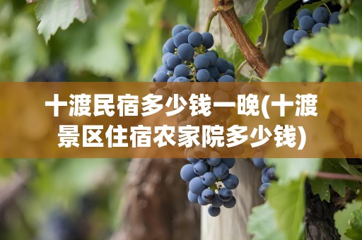 十渡民宿多少钱一晚(十渡景区住宿农家院多少钱)