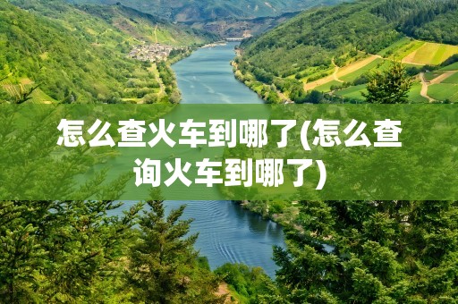 怎么查火车到哪了(怎么查询火车到哪了)