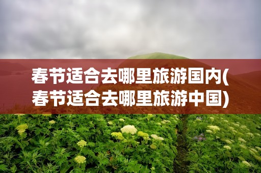 春节适合去哪里旅游国内(春节适合去哪里旅游中国)