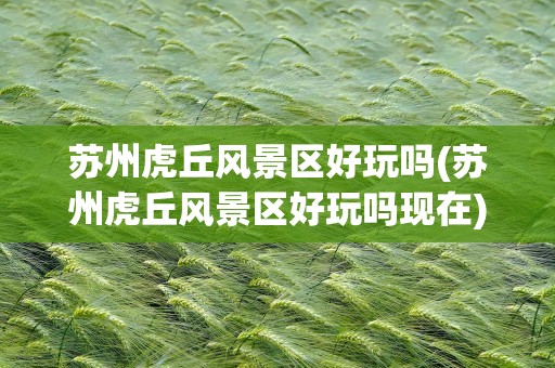 苏州虎丘风景区好玩吗(苏州虎丘风景区好玩吗现在)