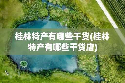 桂林特产有哪些干货(桂林特产有哪些干货店)