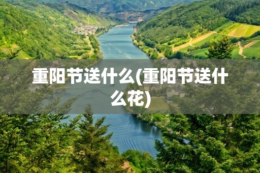 重阳节送什么(重阳节送什么花)