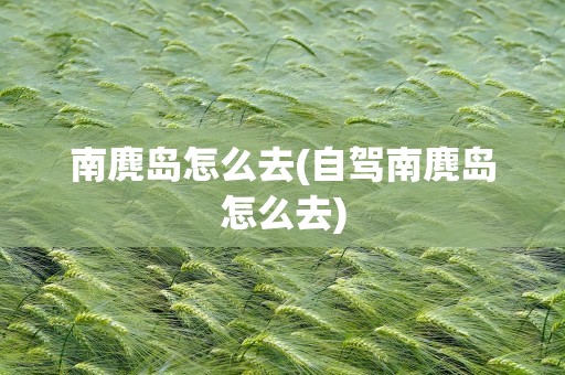 南麂岛怎么去(自驾南麂岛怎么去)