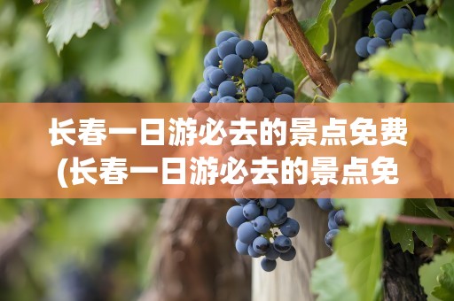 长春一日游必去的景点免费(长春一日游必去的景点免费推荐)
