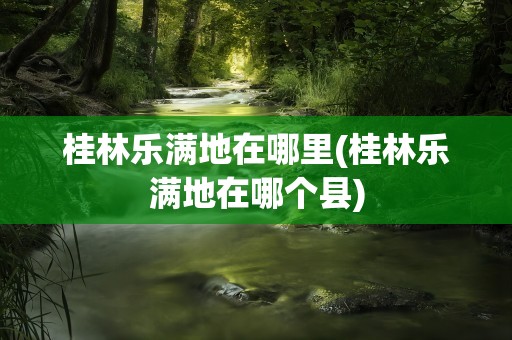 桂林乐满地在哪里(桂林乐满地在哪个县)