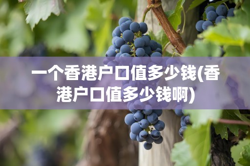 一个香港户口值多少钱(香港户口值多少钱啊)