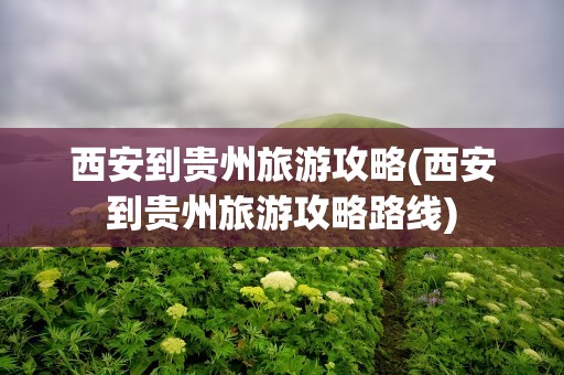 西安到贵州旅游攻略(西安到贵州旅游攻略路线)