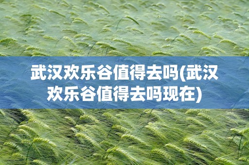 武汉欢乐谷值得去吗(武汉欢乐谷值得去吗现在)