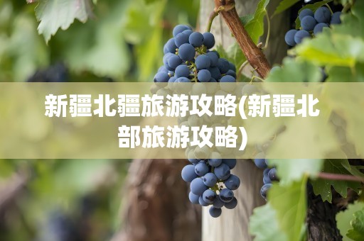新疆北疆旅游攻略(新疆北部旅游攻略)