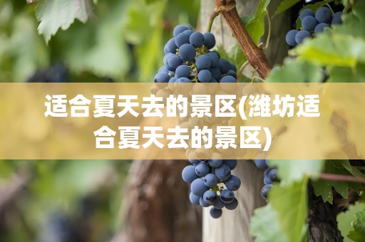 适合夏天去的景区(潍坊适合夏天去的景区)