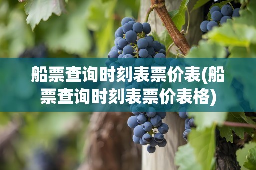 船票查询时刻表票价表(船票查询时刻表票价表格)