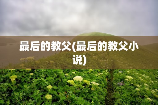 最后的教父(最后的教父小说)