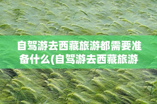 自驾游去西藏旅游都需要准备什么(自驾游去西藏旅游需要准备什么车)