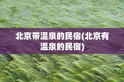 北京带温泉的民宿(北京有温泉的民宿)