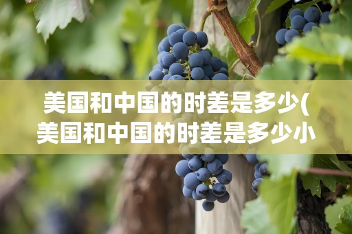 美国和中国的时差是多少(美国和中国的时差是多少小时)