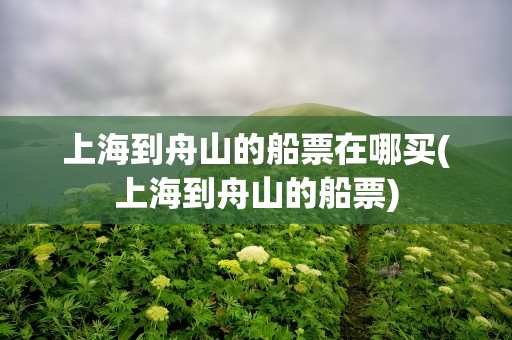 上海到舟山的船票在哪买(上海到舟山的船票)