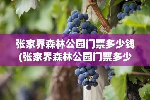 张家界森林公园门票多少钱(张家界森林公园门票多少钱学生)