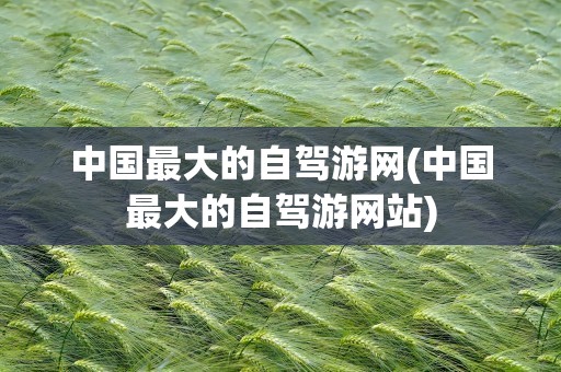 中国最大的自驾游网(中国最大的自驾游网站)