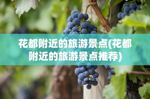 花都附近的旅游景点(花都附近的旅游景点推荐)
