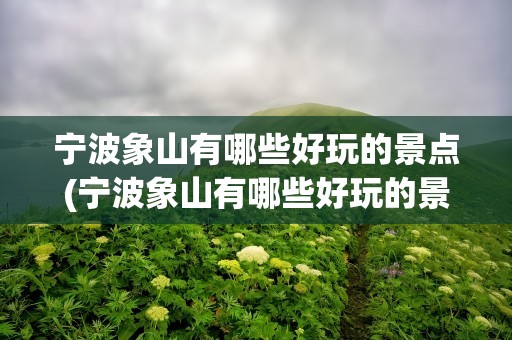 宁波象山有哪些好玩的景点(宁波象山有哪些好玩的景点适合小孩子)