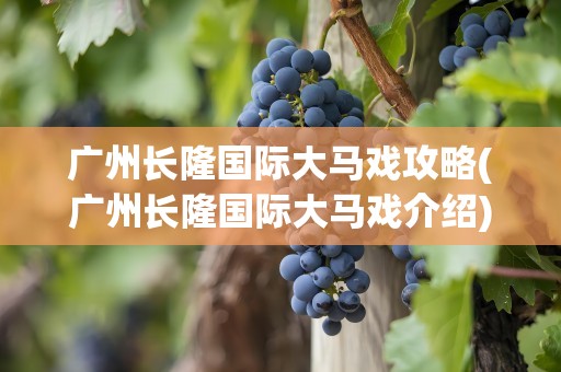 广州长隆国际大马戏攻略(广州长隆国际大马戏介绍)