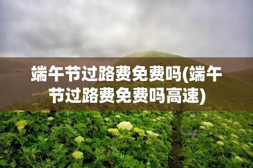 端午节过路费免费吗(端午节过路费免费吗高速)