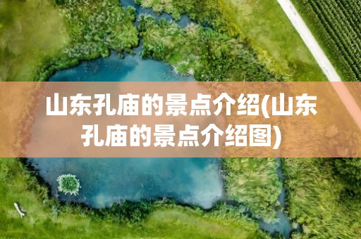 山东孔庙的景点介绍(山东孔庙的景点介绍图)