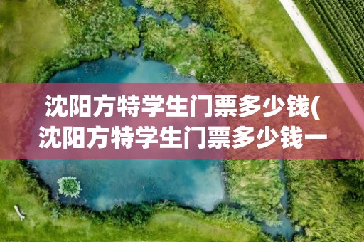 沈阳方特学生门票多少钱(沈阳方特学生门票多少钱一张)