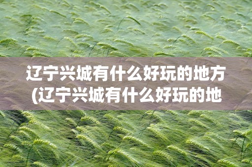 辽宁兴城有什么好玩的地方(辽宁兴城有什么好玩的地方推荐)