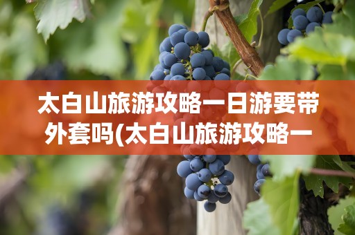 太白山旅游攻略一日游要带外套吗(太白山旅游攻略一日游要带外套吗现在)