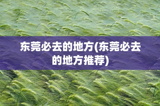 东莞必去的地方(东莞必去的地方推荐)