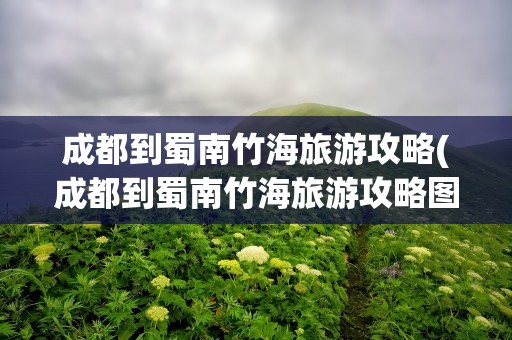 成都到蜀南竹海旅游攻略(成都到蜀南竹海旅游攻略图)