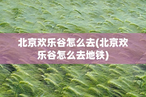 北京欢乐谷怎么去(北京欢乐谷怎么去地铁)