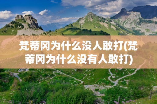 梵蒂冈为什么没人敢打(梵蒂冈为什么没有人敢打)