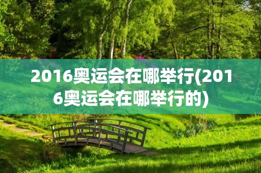 2016奥运会在哪举行(2016奥运会在哪举行的)