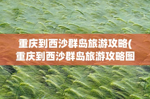 重庆到西沙群岛旅游攻略(重庆到西沙群岛旅游攻略图)