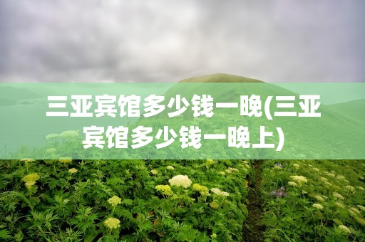 三亚宾馆多少钱一晚(三亚宾馆多少钱一晚上)