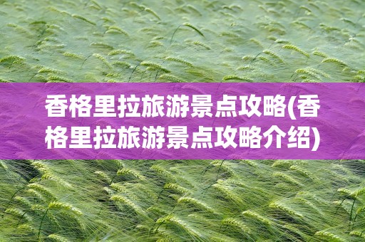 香格里拉旅游景点攻略(香格里拉旅游景点攻略介绍)