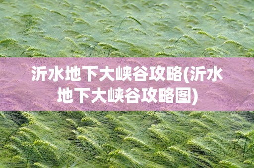 沂水地下大峡谷攻略(沂水地下大峡谷攻略图)