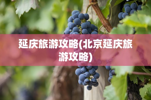 延庆旅游攻略(北京延庆旅游攻略)