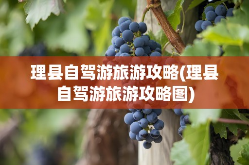 理县自驾游旅游攻略(理县自驾游旅游攻略图)