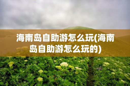海南岛自助游怎么玩(海南岛自助游怎么玩的)