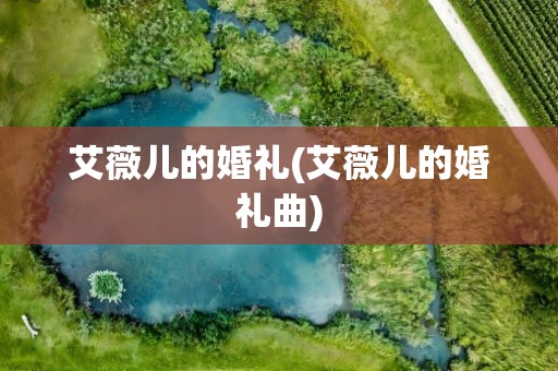 艾薇儿的婚礼(艾薇儿的婚礼曲)