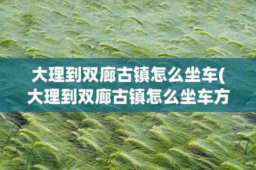 大理到双廊古镇怎么坐车(大理到双廊古镇怎么坐车方便)