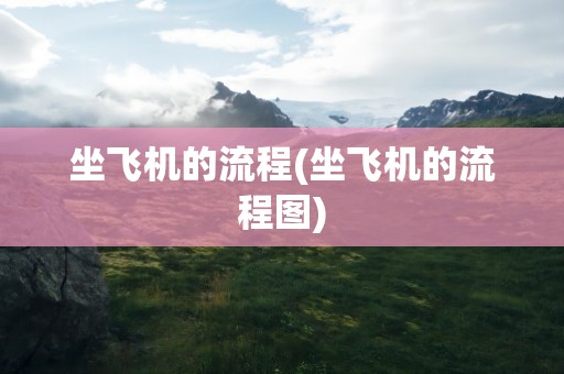 坐飞机的流程(坐飞机的流程图)
