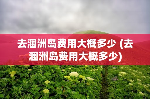 去涠洲岛费用大概多少 (去涠洲岛费用大概多少)