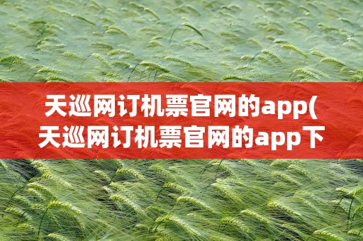 天巡网订机票官网的app(天巡网订机票官网的app下载)