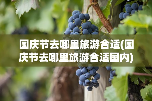 国庆节去哪里旅游合适(国庆节去哪里旅游合适国内)
