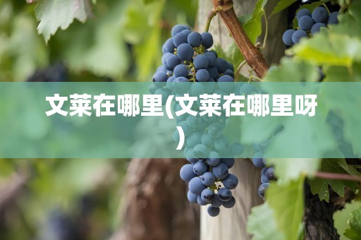 文莱在哪里(文莱在哪里呀)